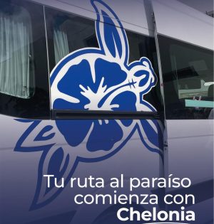 WhatsApp Image 2026-01-14 at 3.29.41 PM (3)